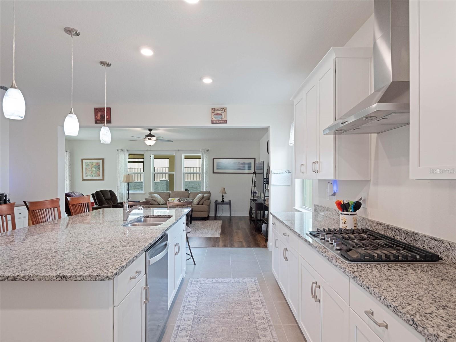 739 ANNABELL RIDGE RD, MINNEOLA, FL, 34715