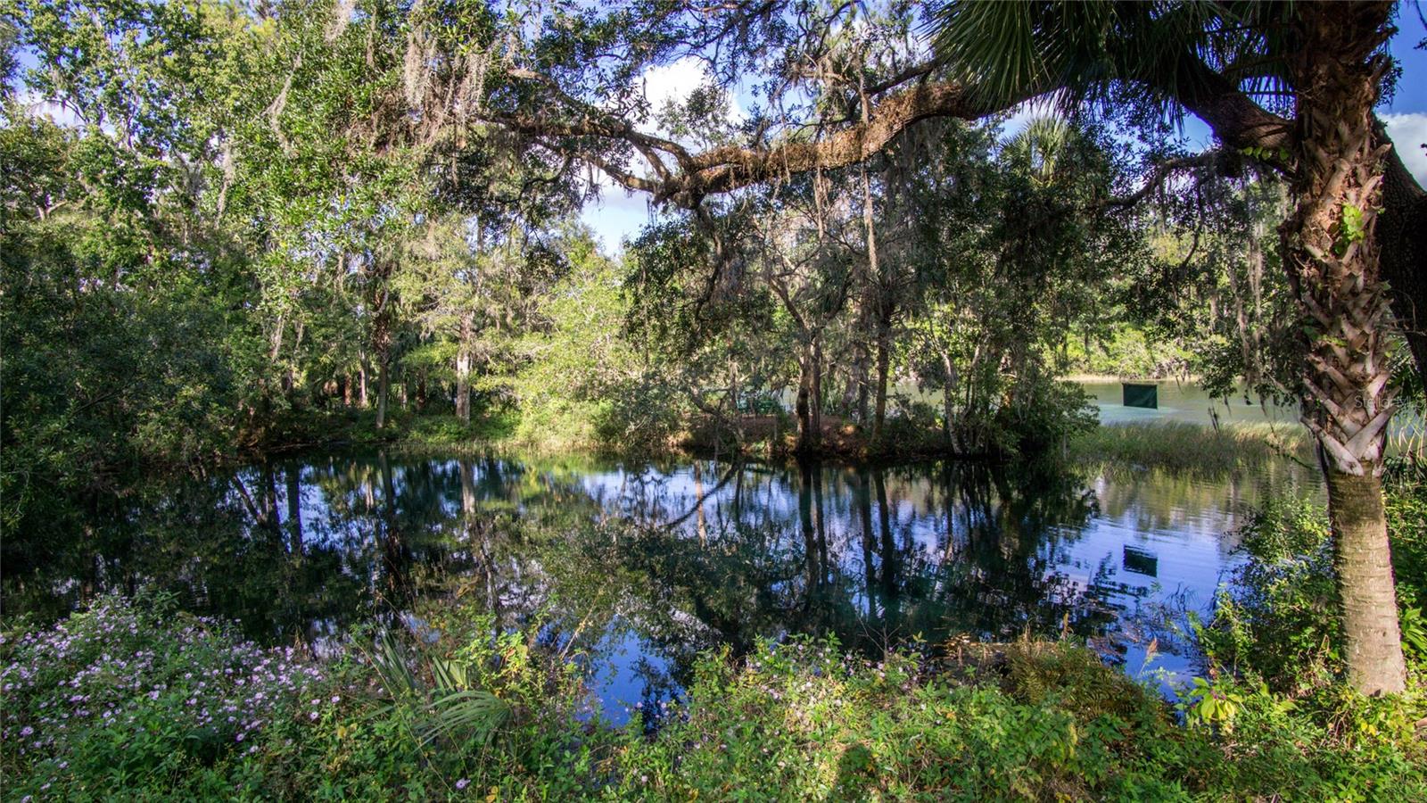 20260 SW 95TH ST, DUNNELLON, FL, 34431