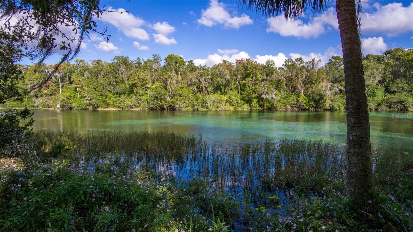 20260 SW 95TH ST, DUNNELLON, FL, 34431