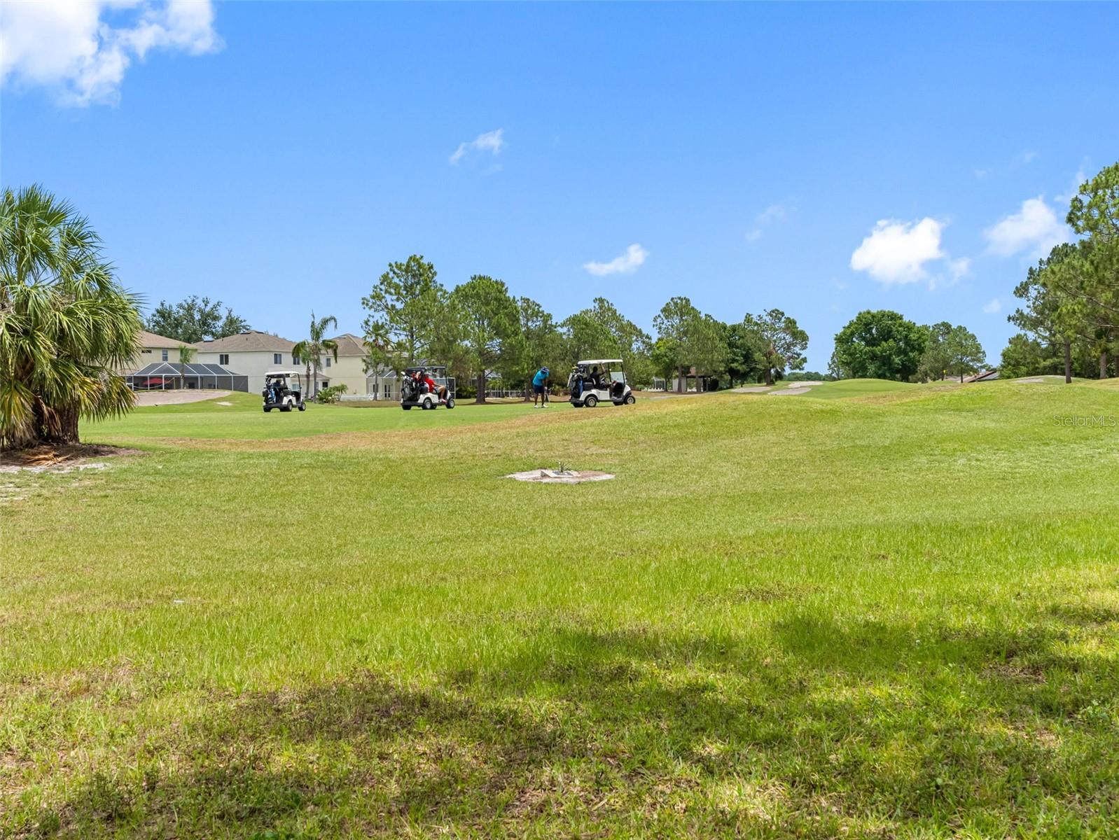 10904 SUMMERTON DR, RIVERVIEW, FL, 33579