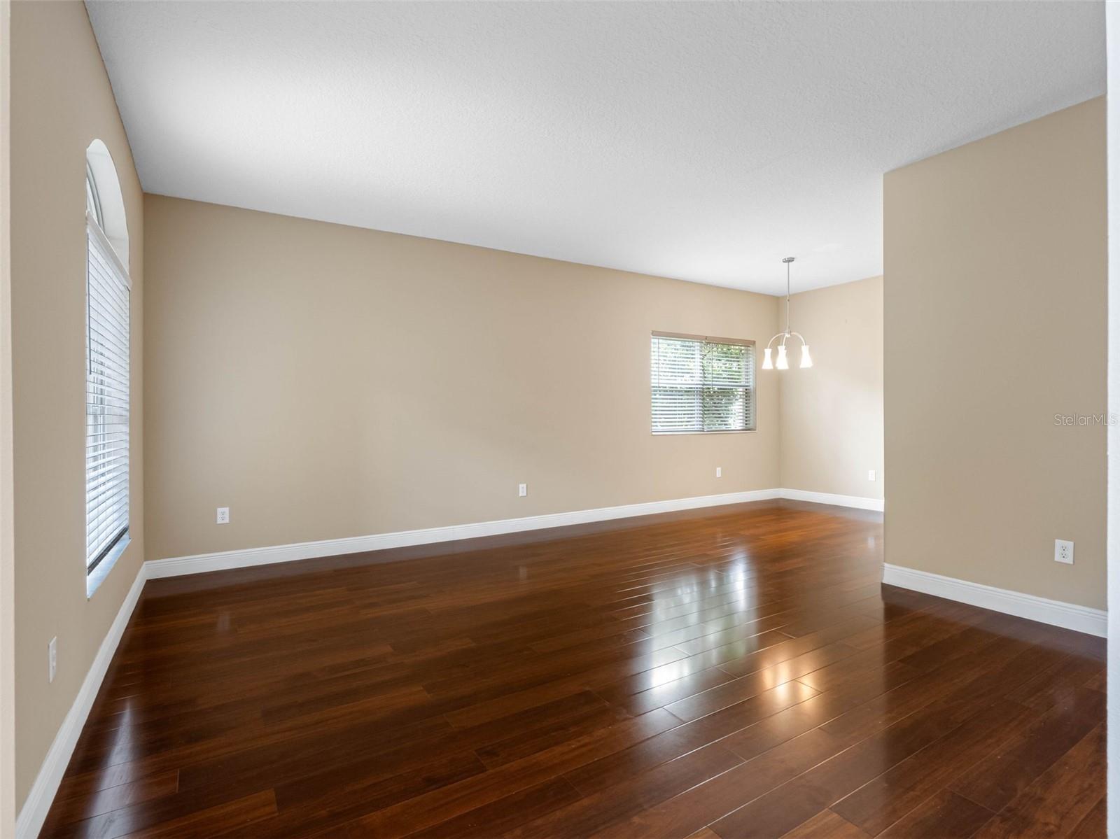 10904 SUMMERTON DR, RIVERVIEW, FL, 33579