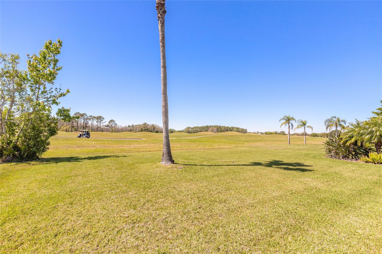 20 PROMENADE AT LIONSPAW, DAYTONA BEACH, FL, 32124
