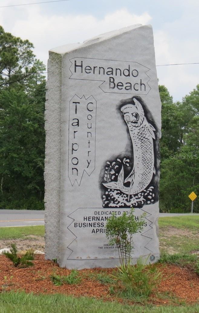 3371 MANGROVE DR, HERNANDO BEACH, FL, 34607