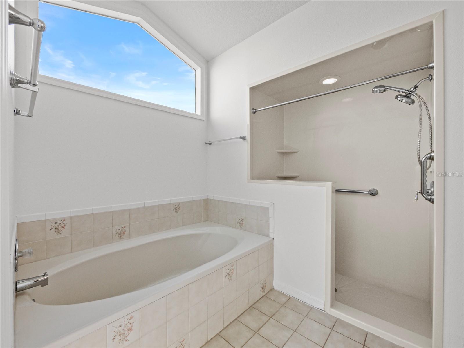 1676 E SPRING RIDGE CIR, WINTER GARDEN, FL, 34787