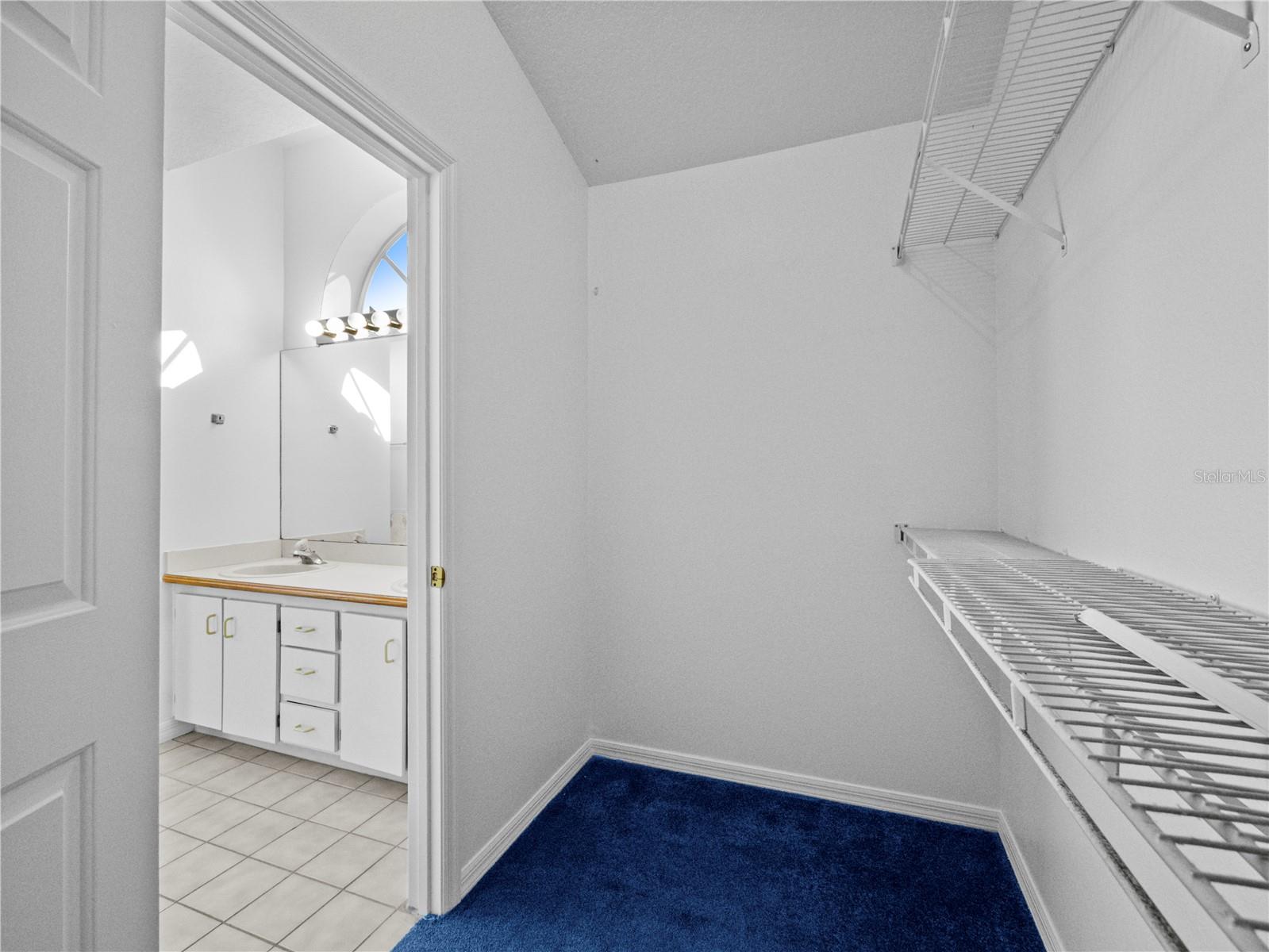 1676 E SPRING RIDGE CIR, WINTER GARDEN, FL, 34787