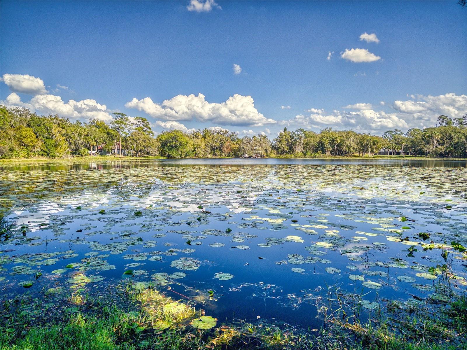 3471 WHITNER WAY, SANFORD, FL, 32773