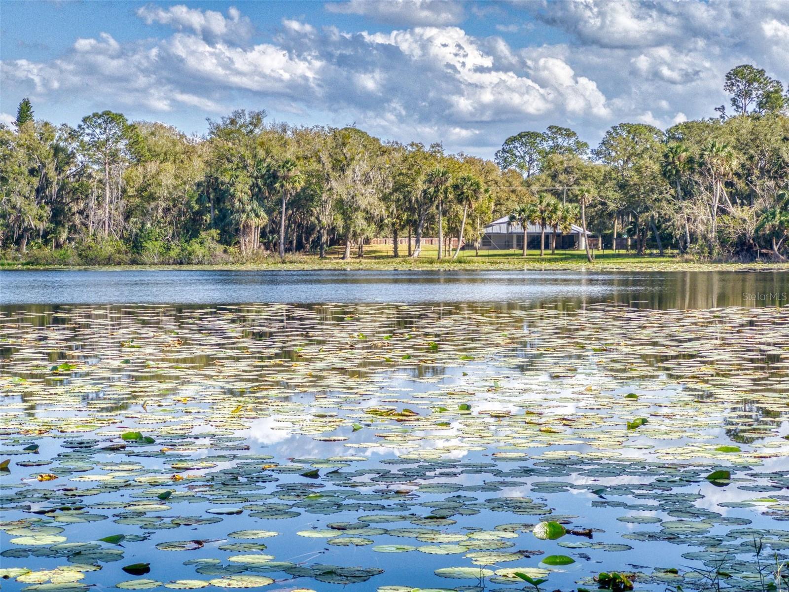 3471 WHITNER WAY, SANFORD, FL, 32773