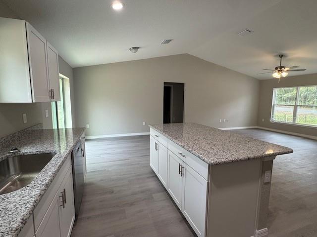 9971 N BAMBOO WAY, CITRUS SPRINGS, FL, 34434