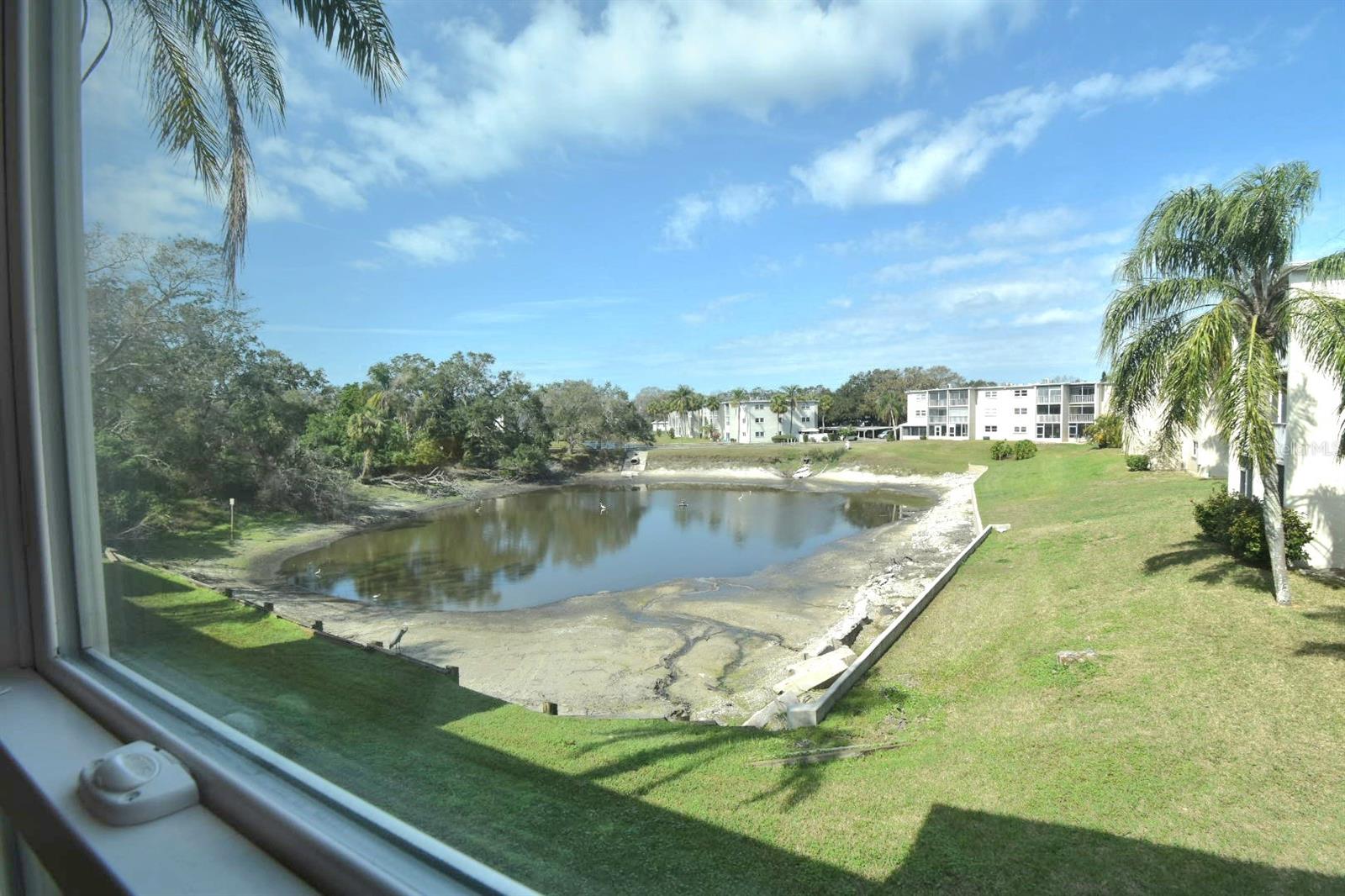 960 VIRGINIA ST #205, DUNEDIN, FL, 34698