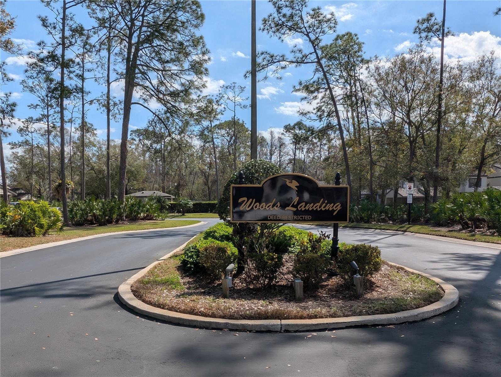 375 WOODS LANDING TRL, OLDSMAR, FL, 34677