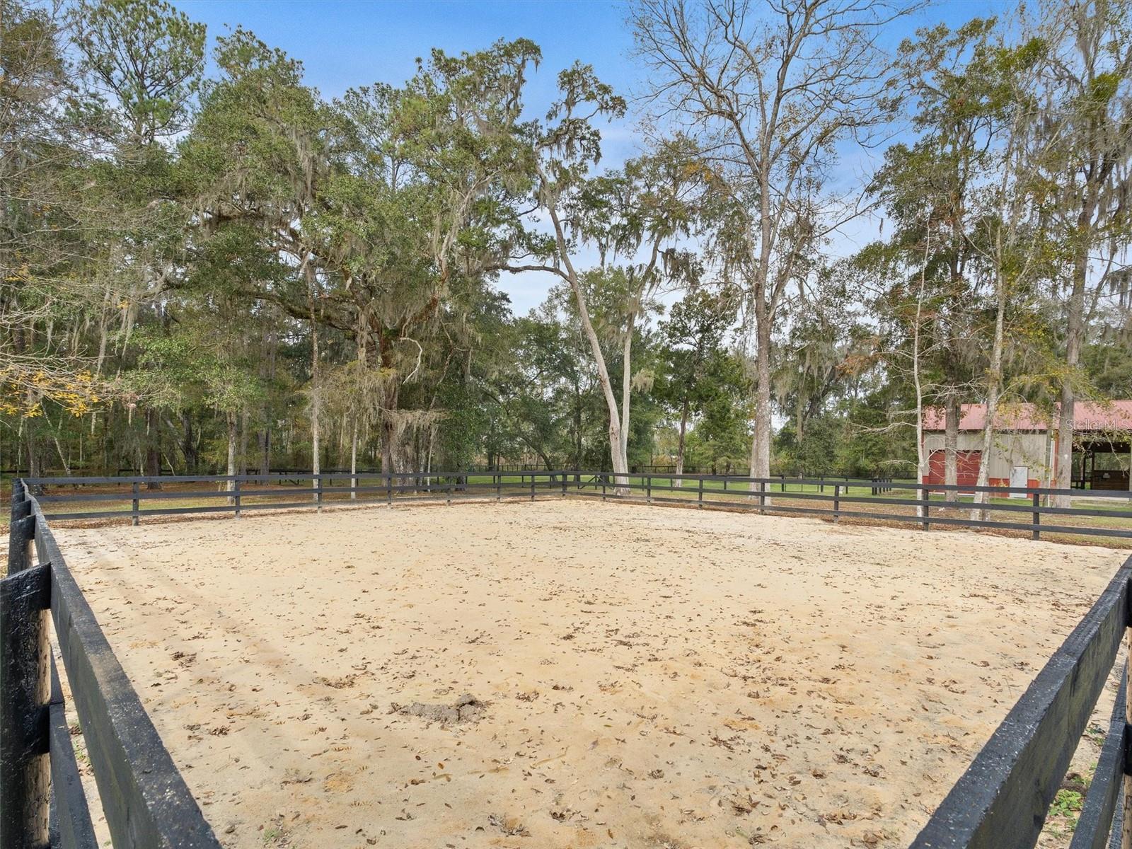 8600 NW 125TH AVE, OCALA, FL, 34482