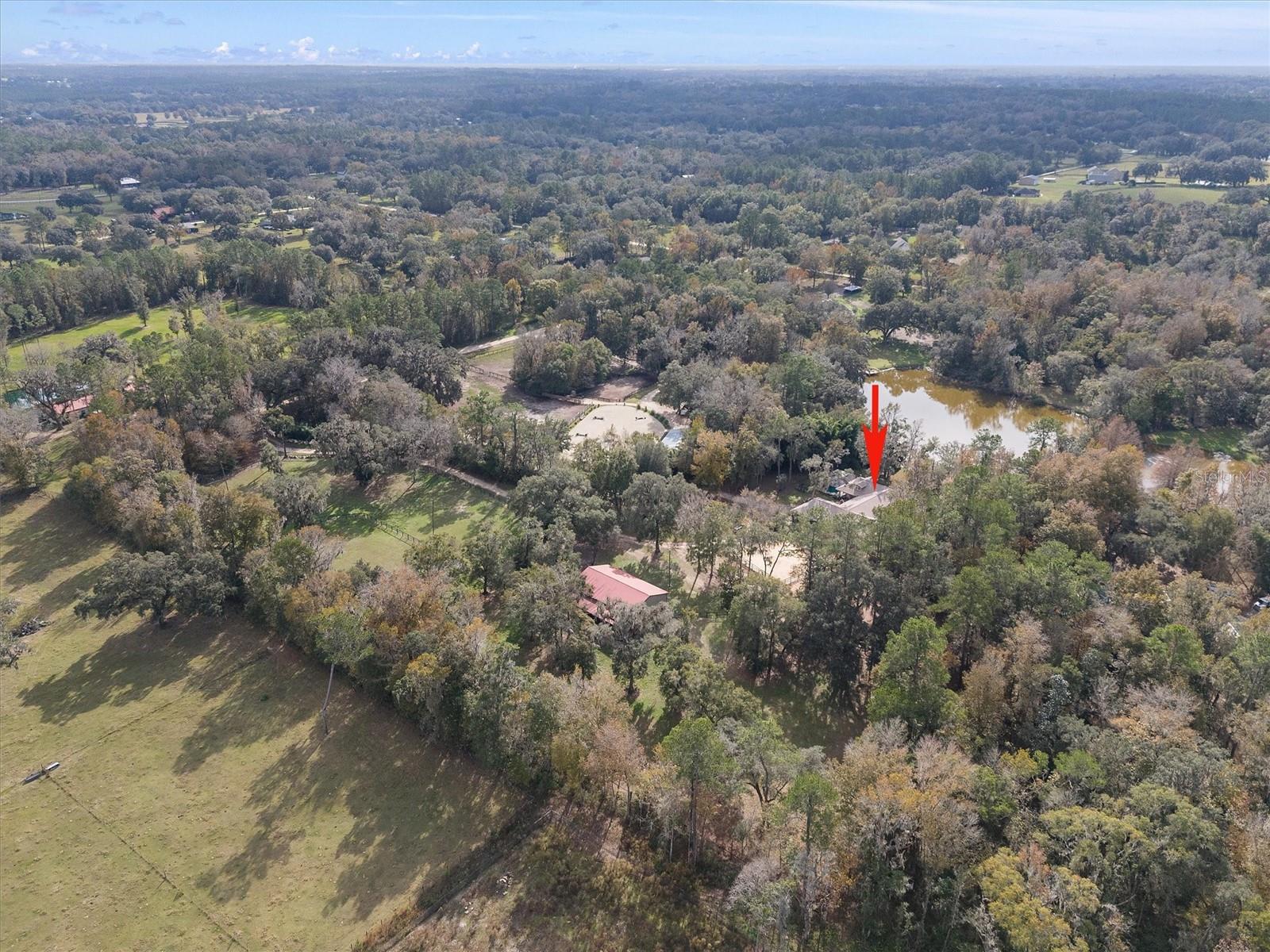 8600 NW 125TH AVE, OCALA, FL, 34482