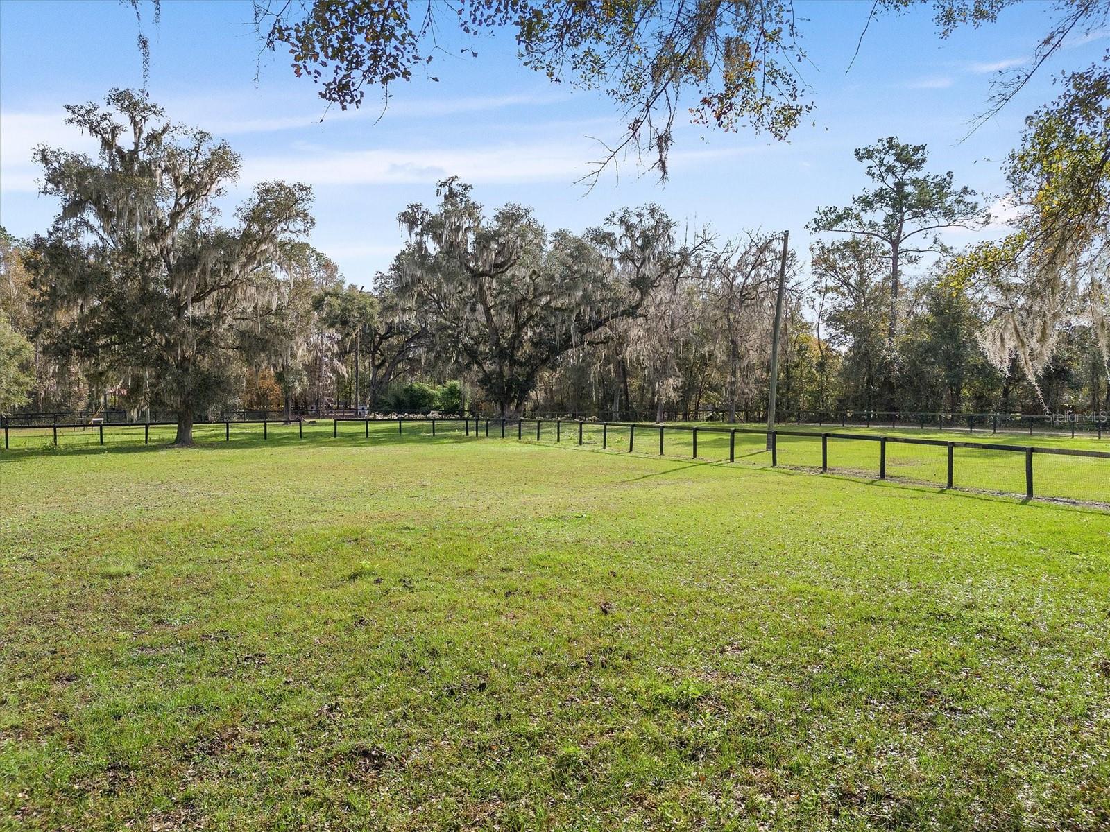 8600 NW 125TH AVE, OCALA, FL, 34482