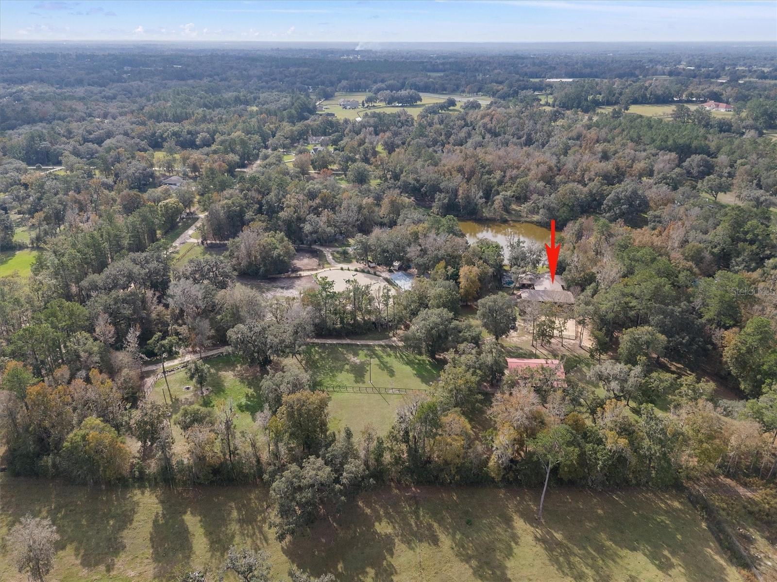 8600 NW 125TH AVE, OCALA, FL, 34482