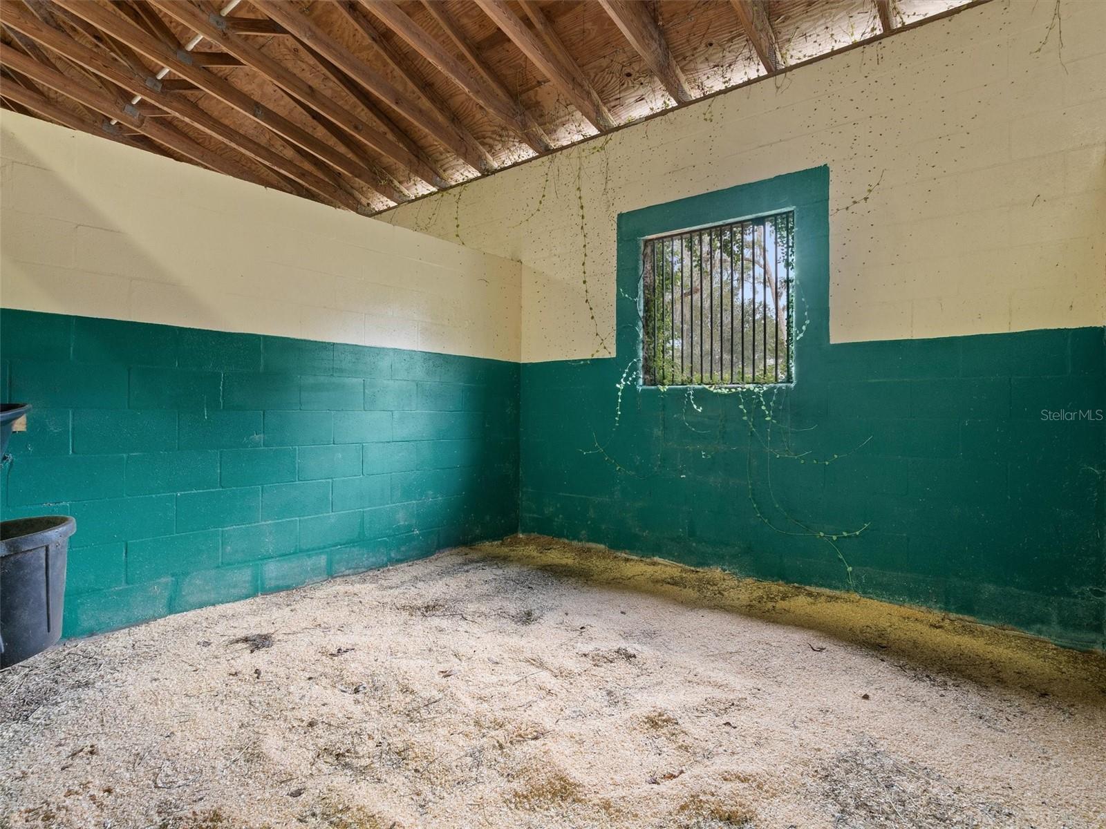 8600 NW 125TH AVE, OCALA, FL, 34482