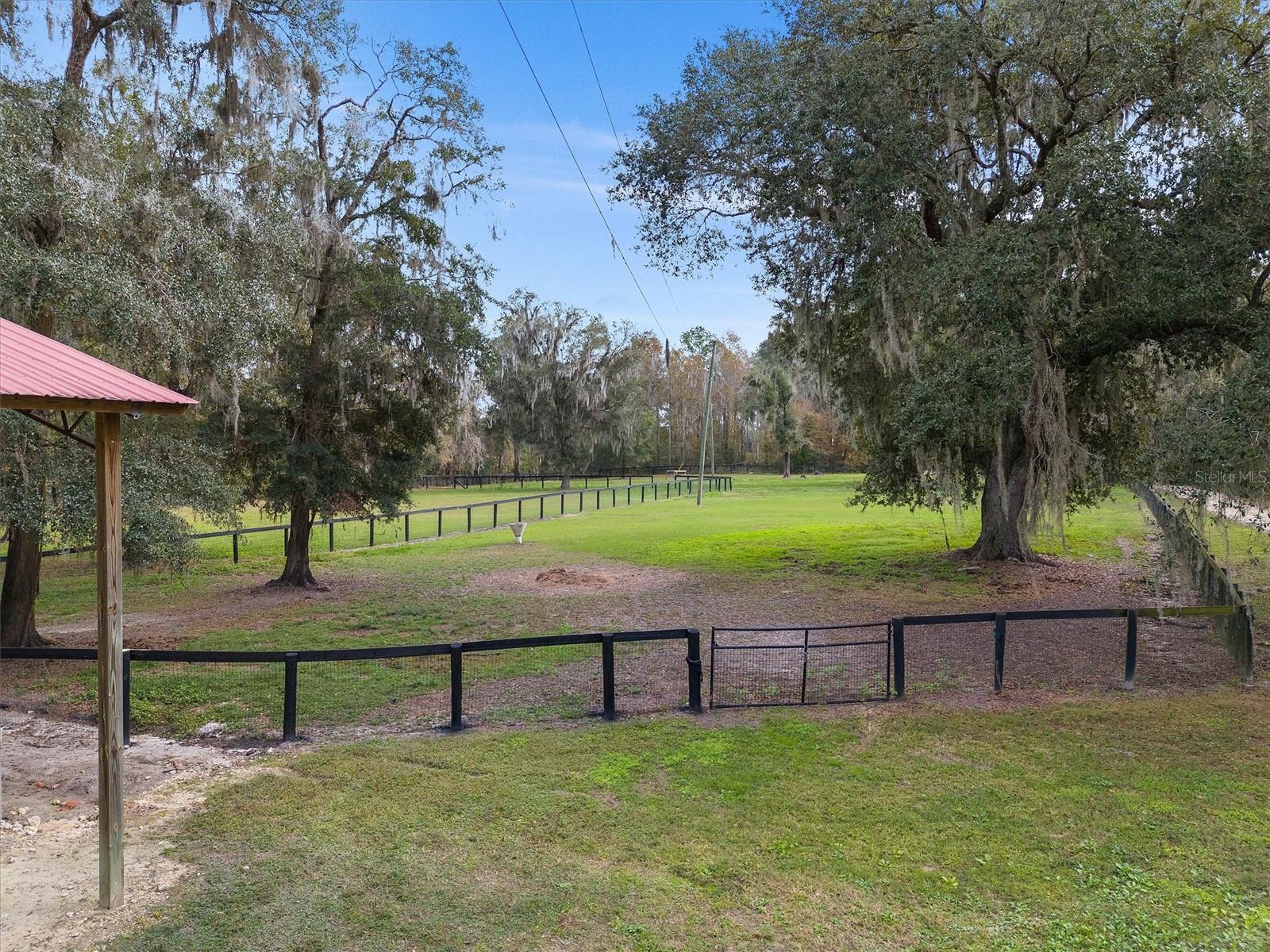 8600 NW 125TH AVE, OCALA, FL, 34482