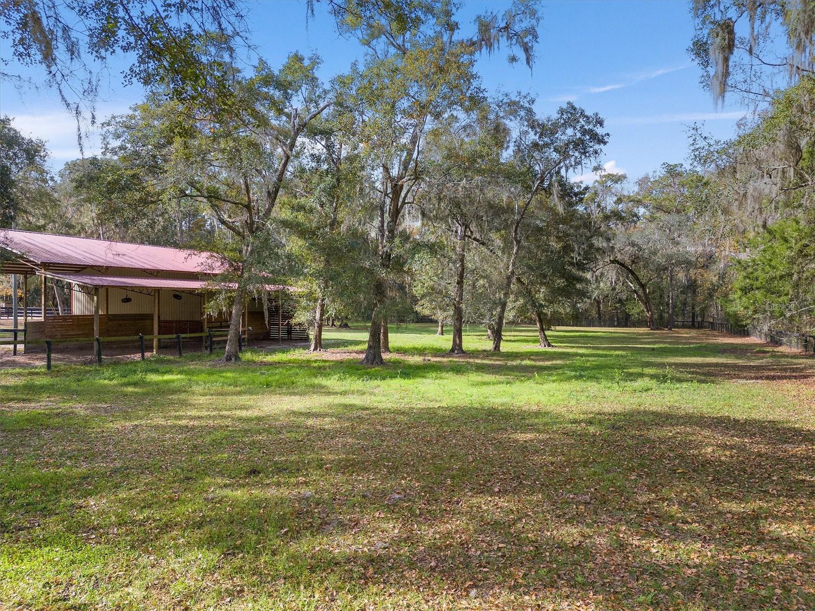 8600 NW 125TH AVE, OCALA, FL, 34482