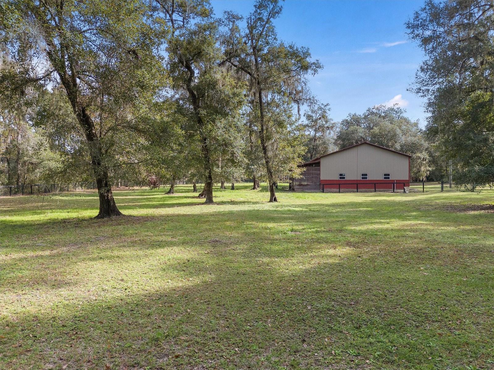 8600 NW 125TH AVE, OCALA, FL, 34482