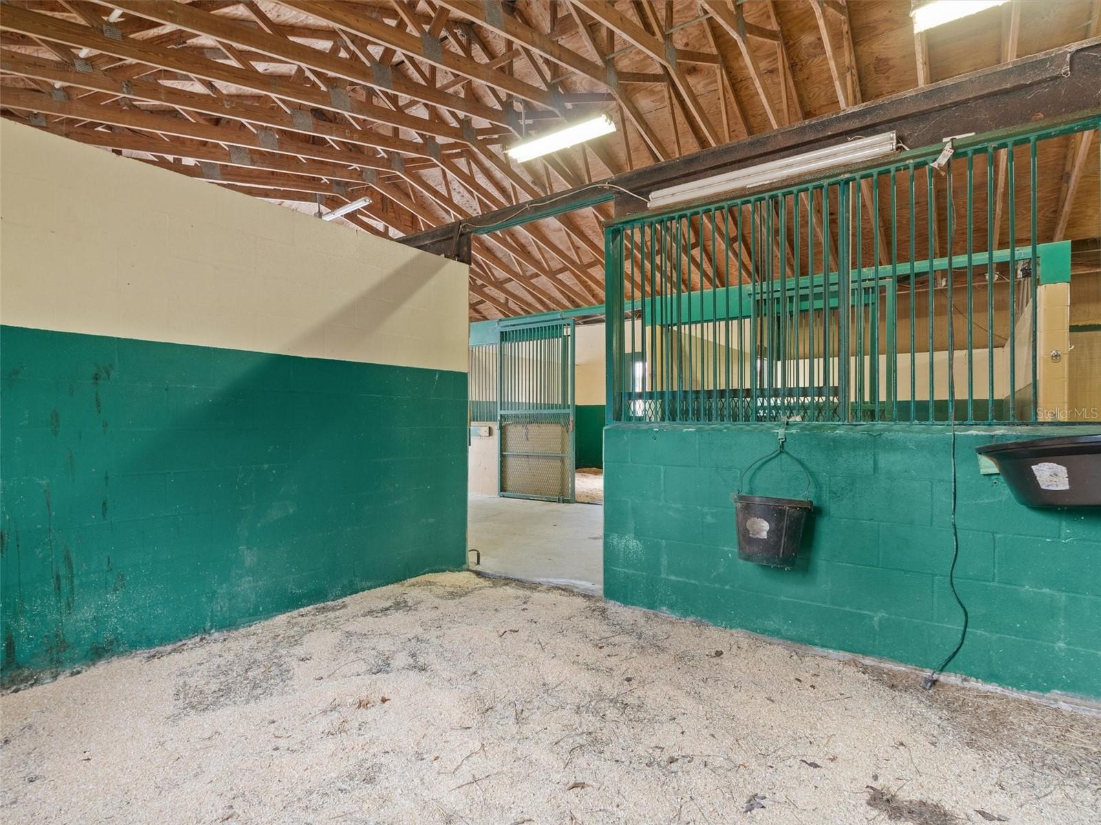 8600 NW 125TH AVE, OCALA, FL, 34482