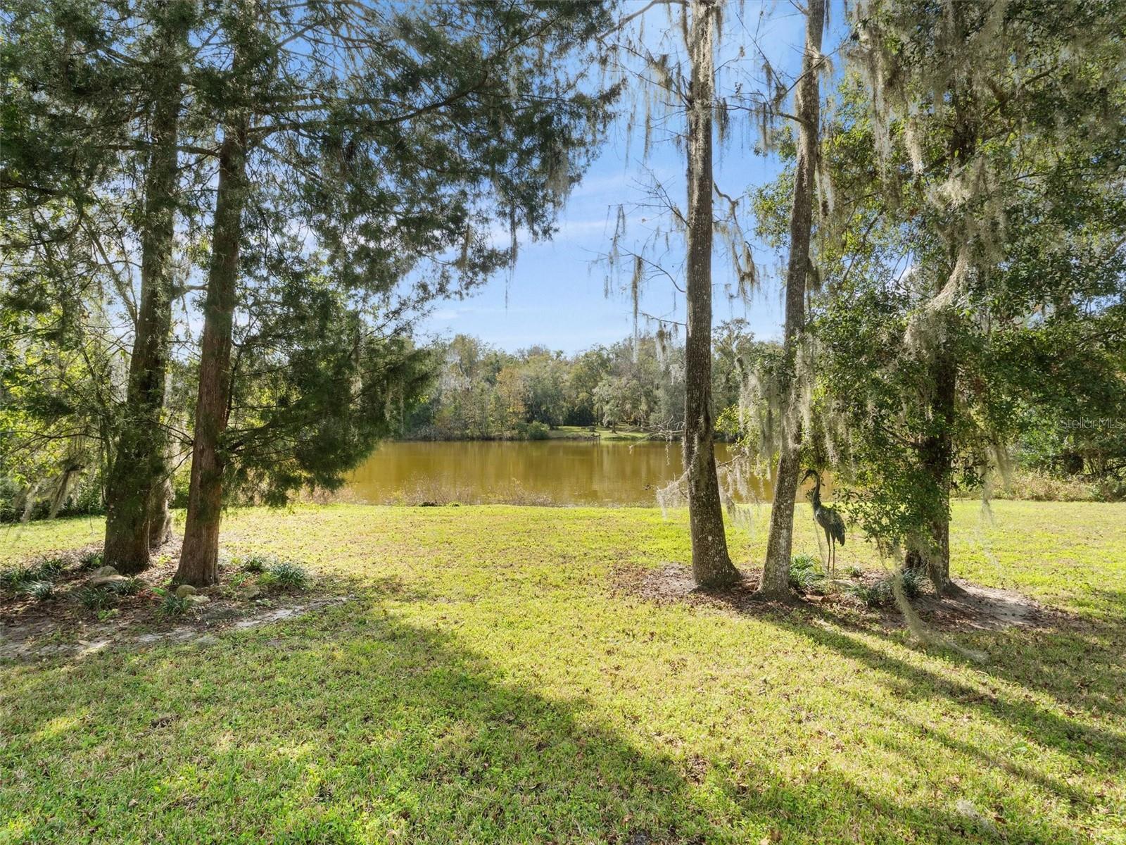 8600 NW 125TH AVE, OCALA, FL, 34482