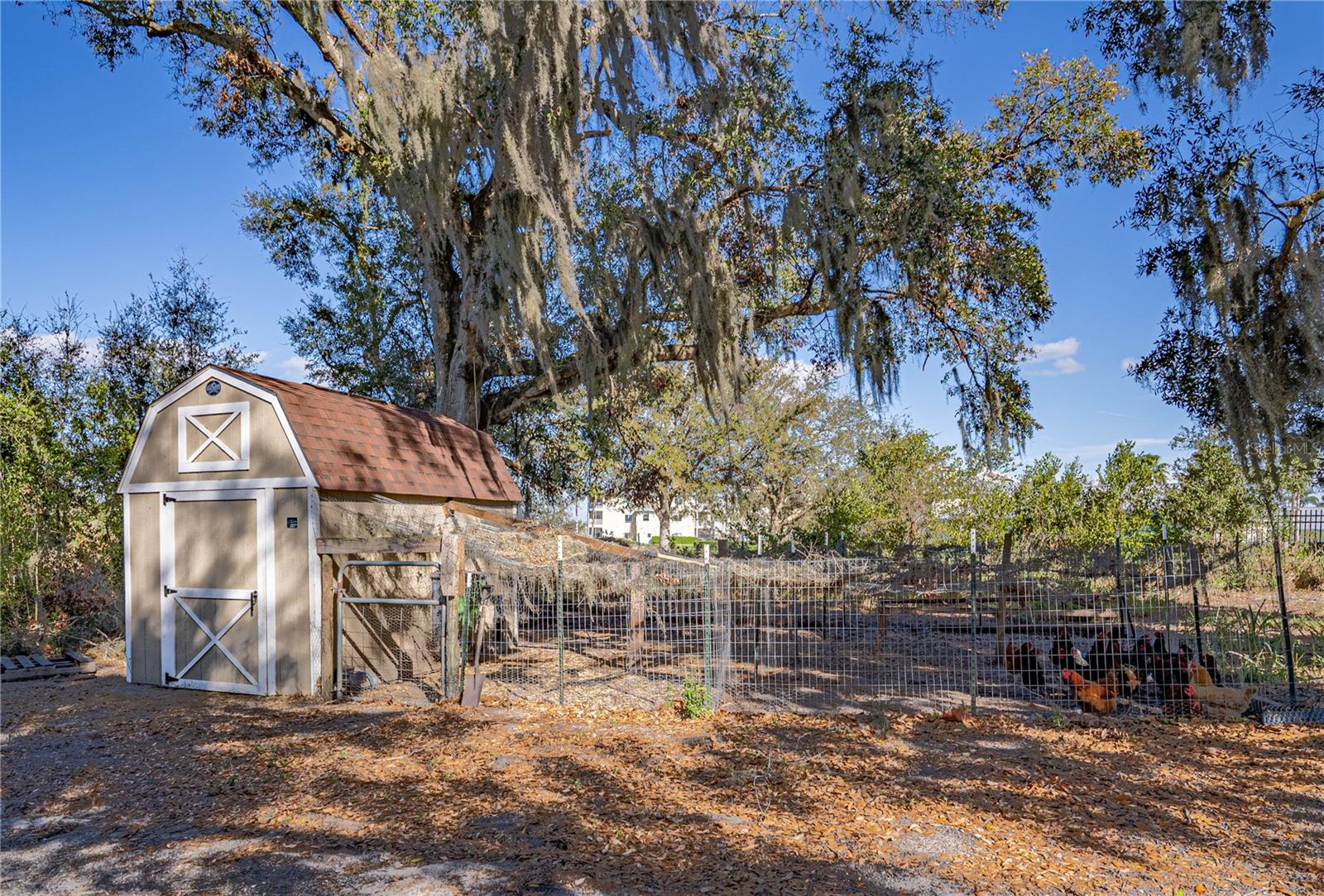 70 W GROVE AVE, LAKE WALES, FL, 33853