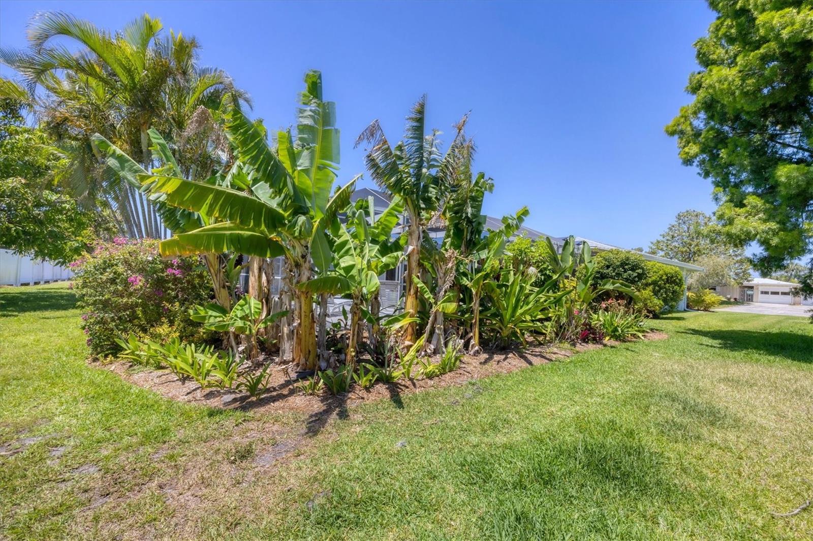 7115 11TH AVE W, BRADENTON, FL, 34209