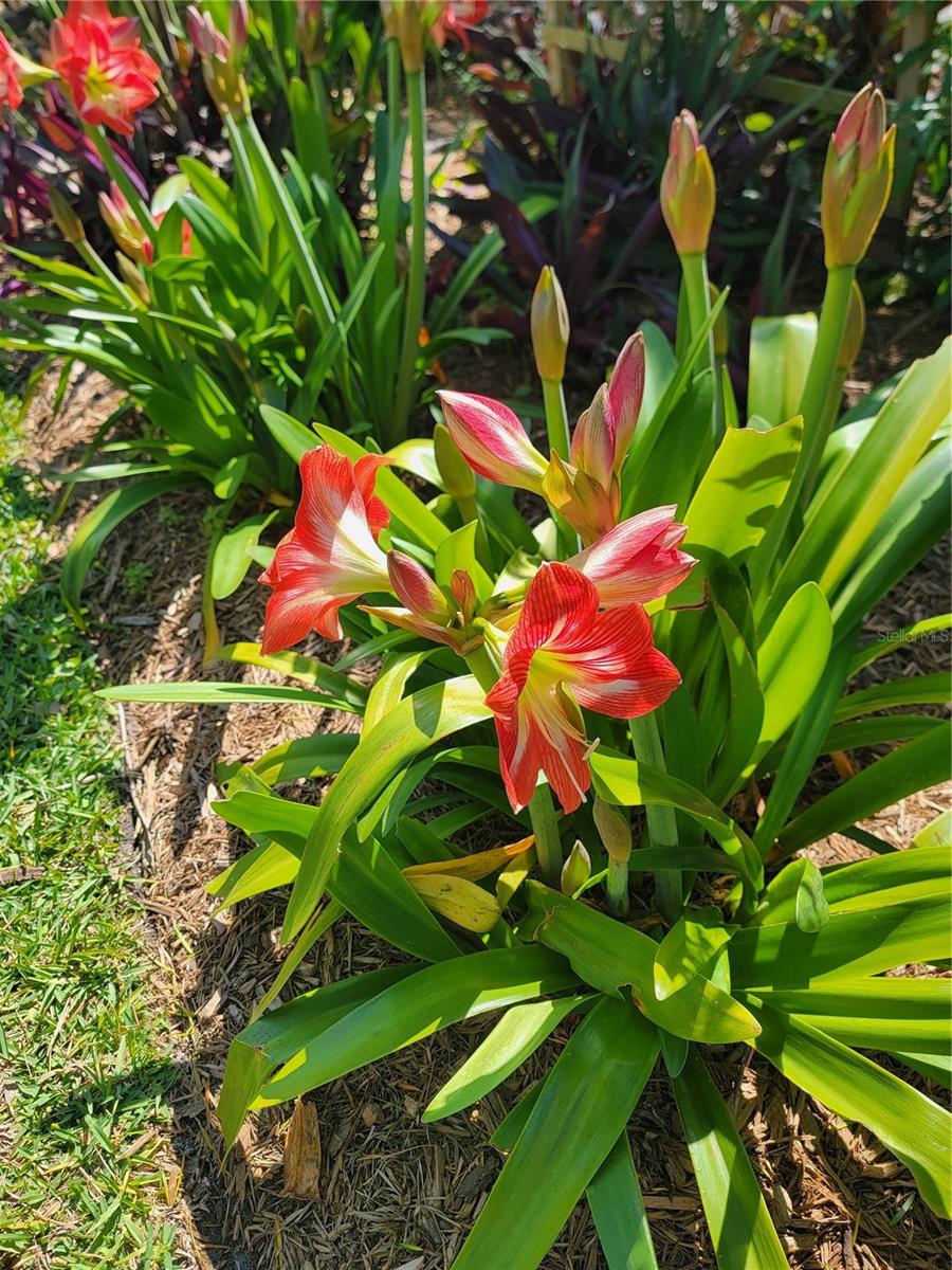 7115 11TH AVE W, BRADENTON, FL, 34209