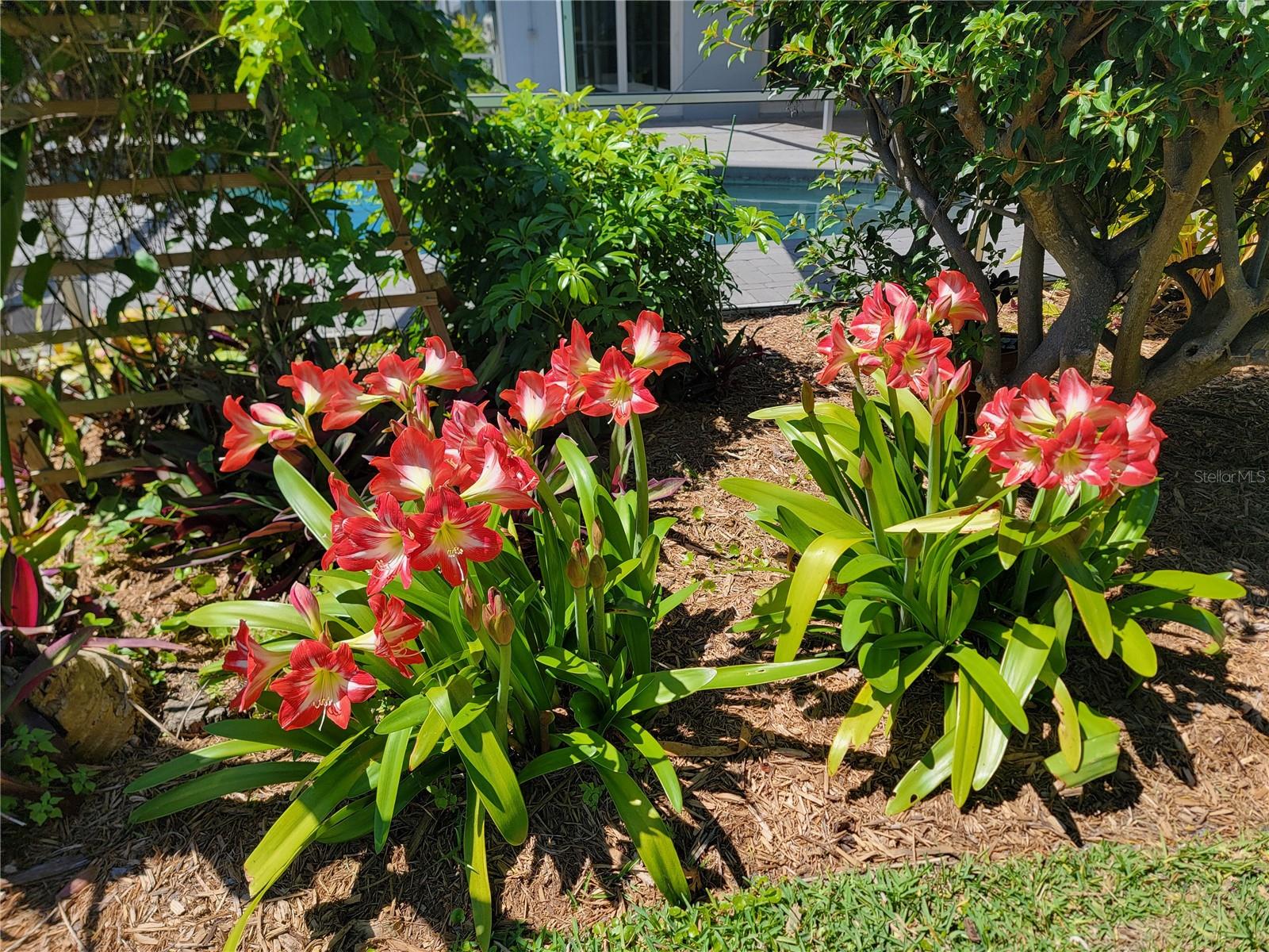 7115 11TH AVE W, BRADENTON, FL, 34209