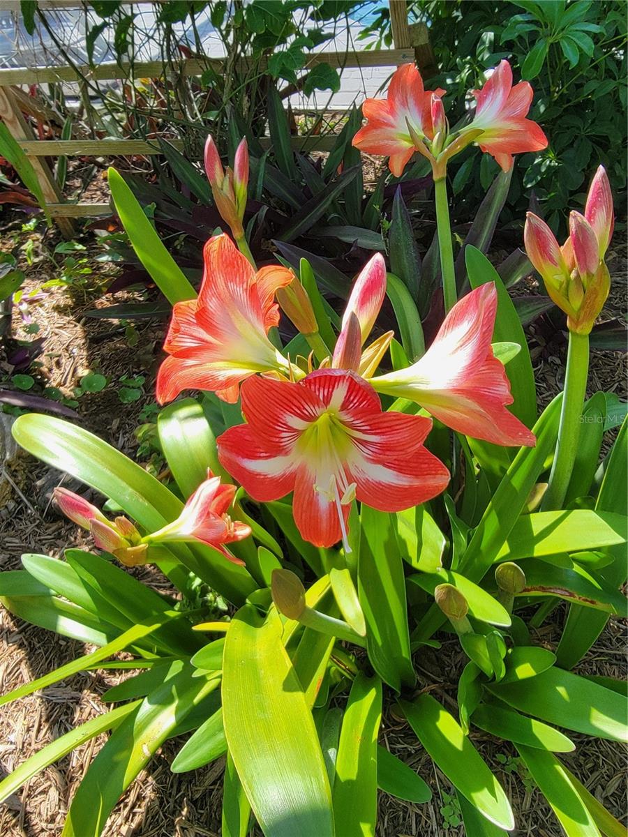 7115 11TH AVE W, BRADENTON, FL, 34209