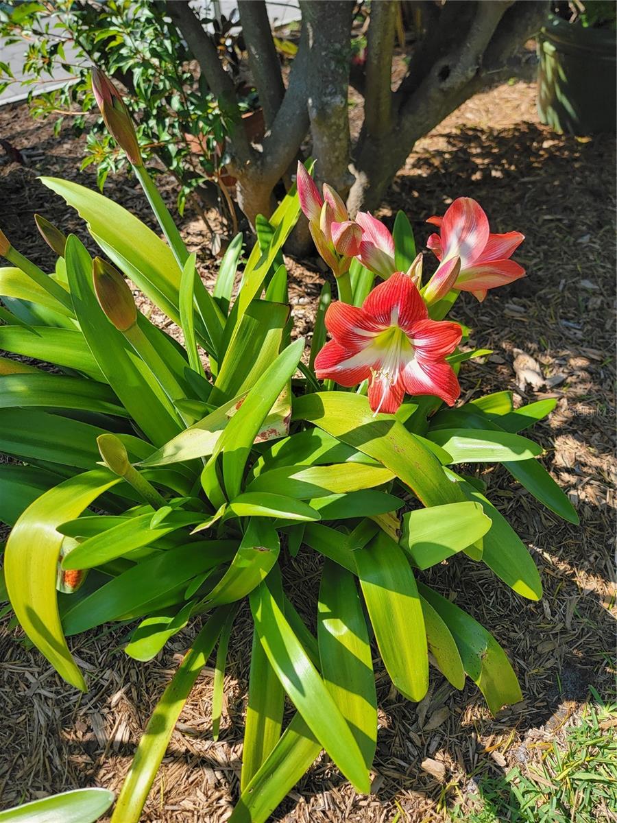 7115 11TH AVE W, BRADENTON, FL, 34209