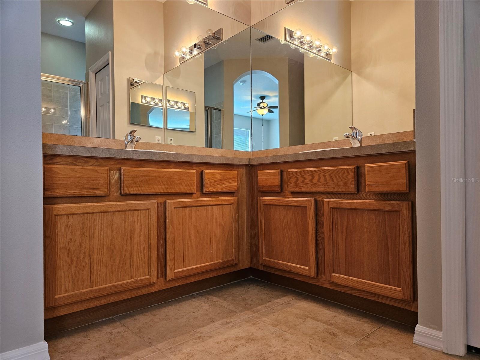 10313 STONE MOSS AVE, TAMPA, FL, 33647