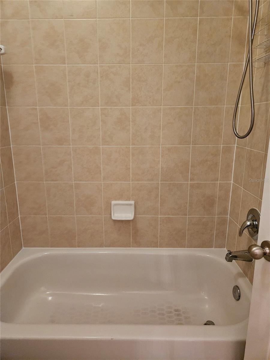 10313 STONE MOSS AVE, TAMPA, FL, 33647