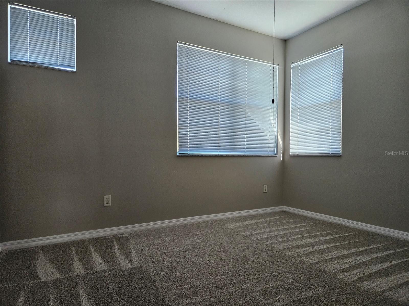 10313 STONE MOSS AVE, TAMPA, FL, 33647