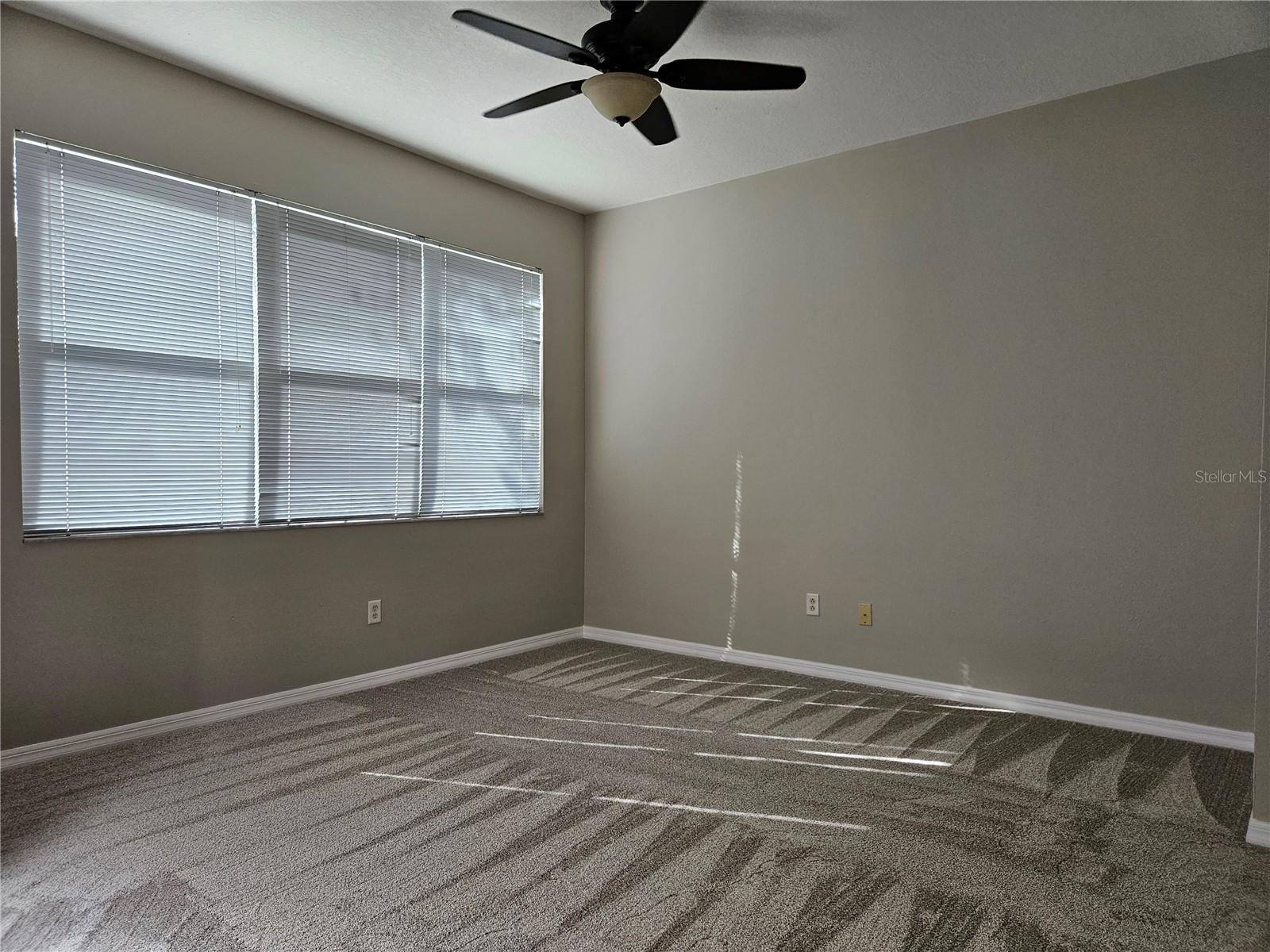 10313 STONE MOSS AVE, TAMPA, FL, 33647