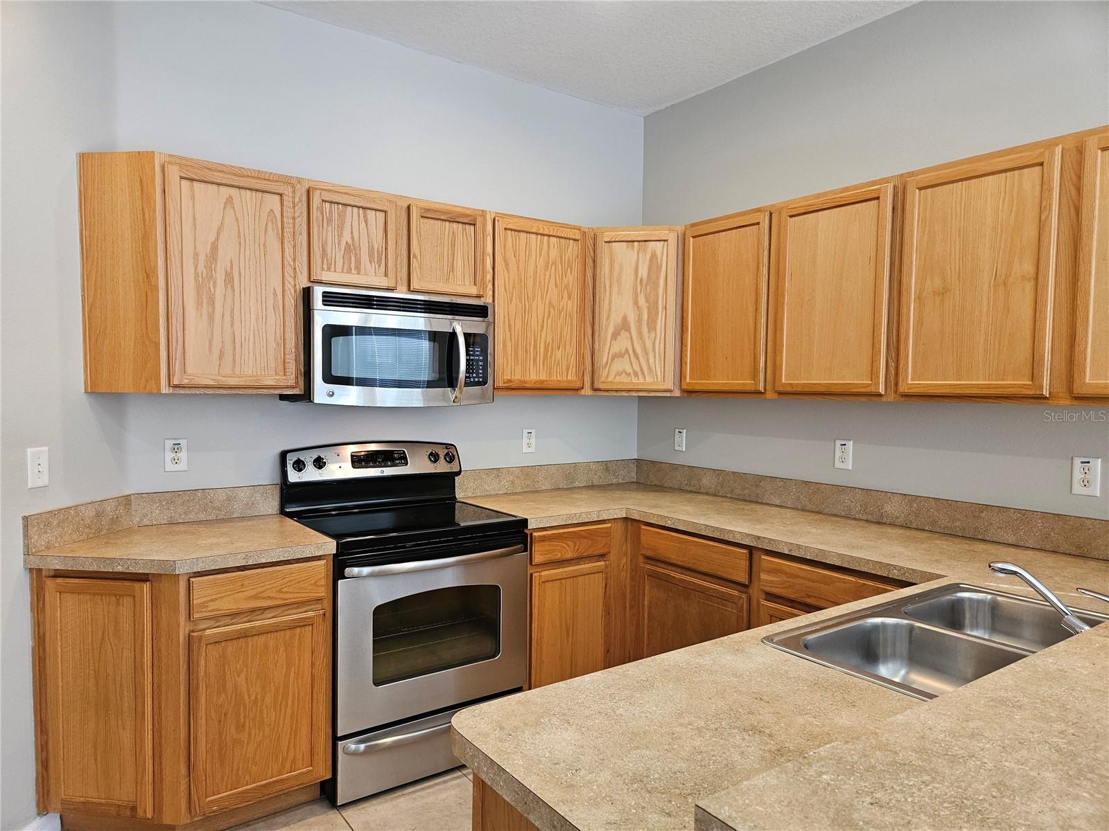 10313 STONE MOSS AVE, TAMPA, FL, 33647