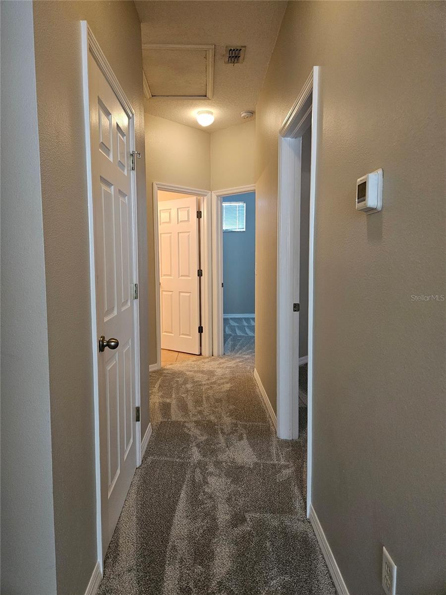 10313 STONE MOSS AVE, TAMPA, FL, 33647