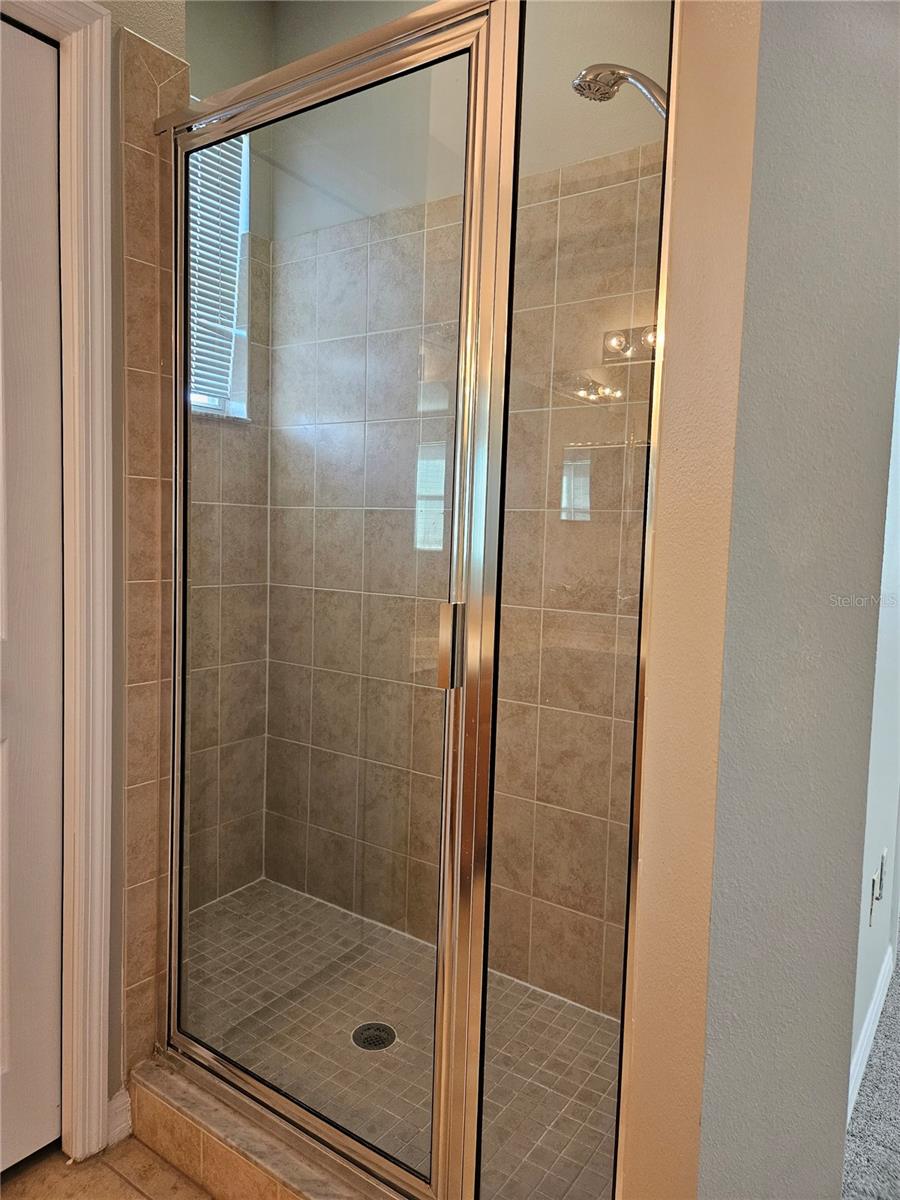 10313 STONE MOSS AVE, TAMPA, FL, 33647