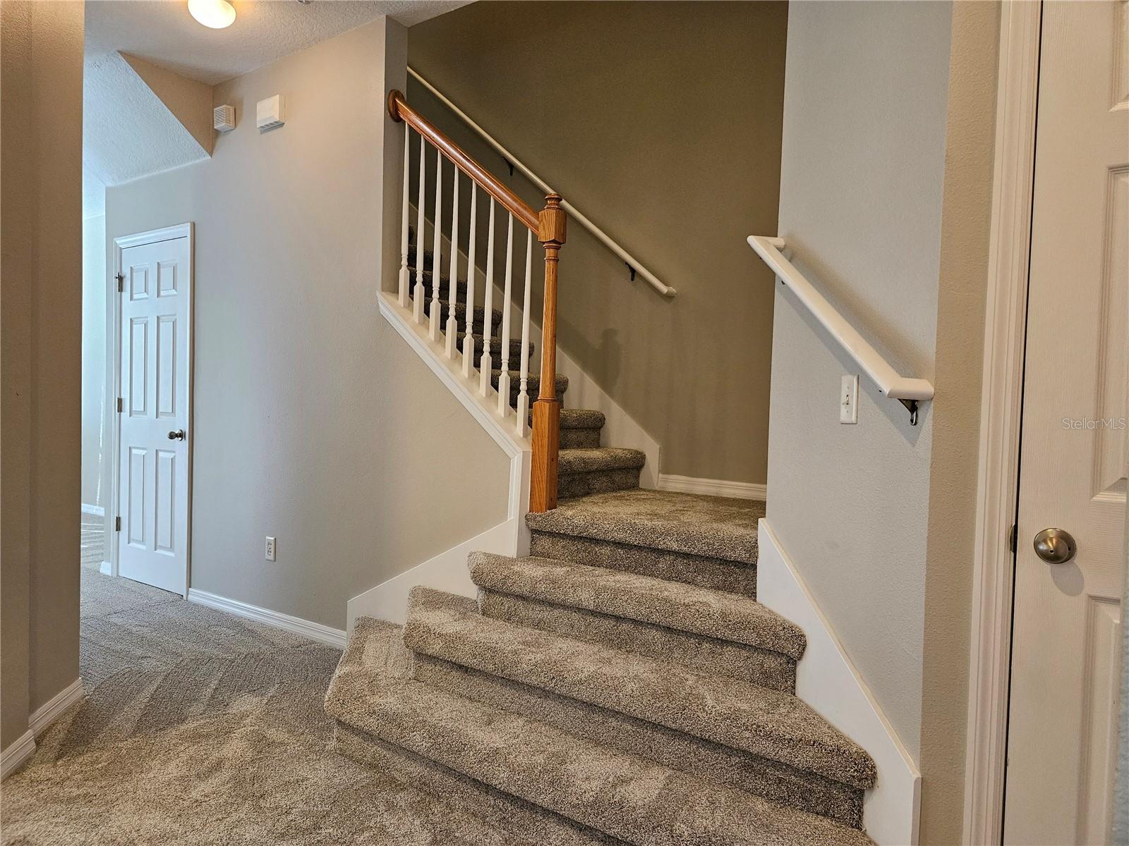 10313 STONE MOSS AVE, TAMPA, FL, 33647