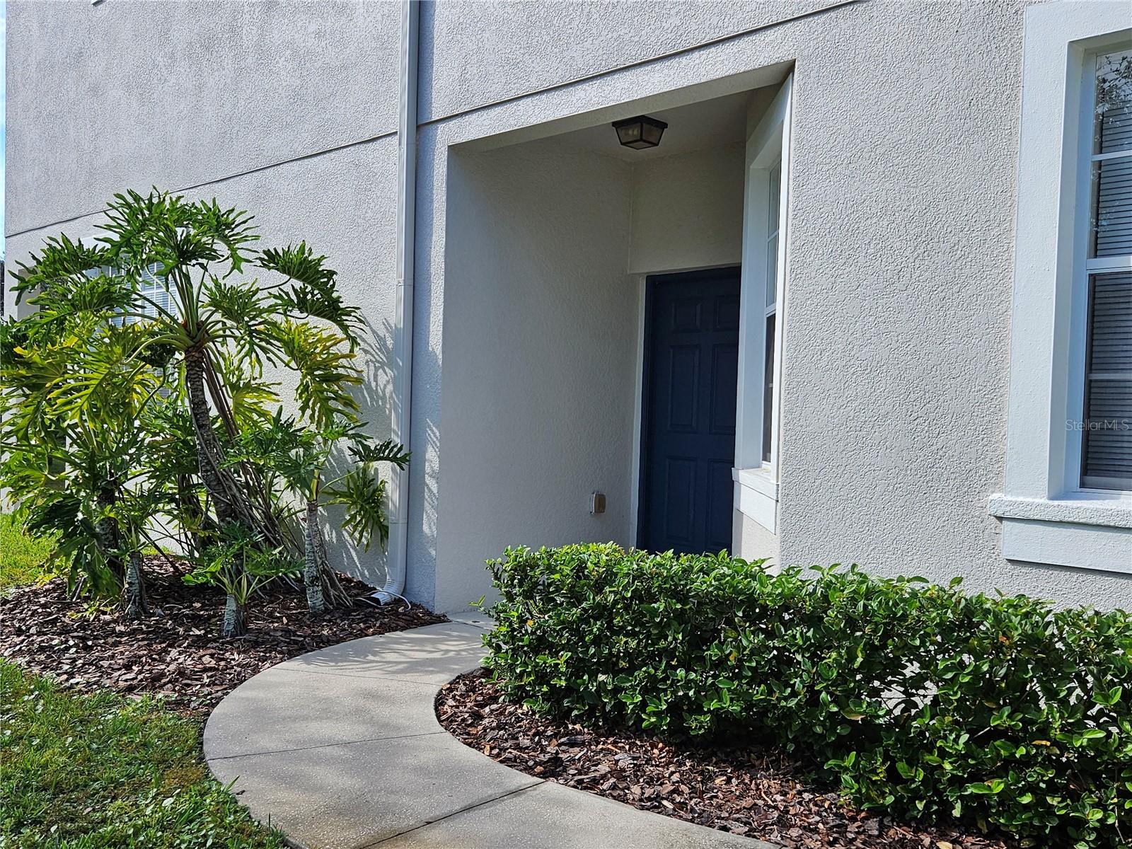 10313 STONE MOSS AVE, TAMPA, FL, 33647