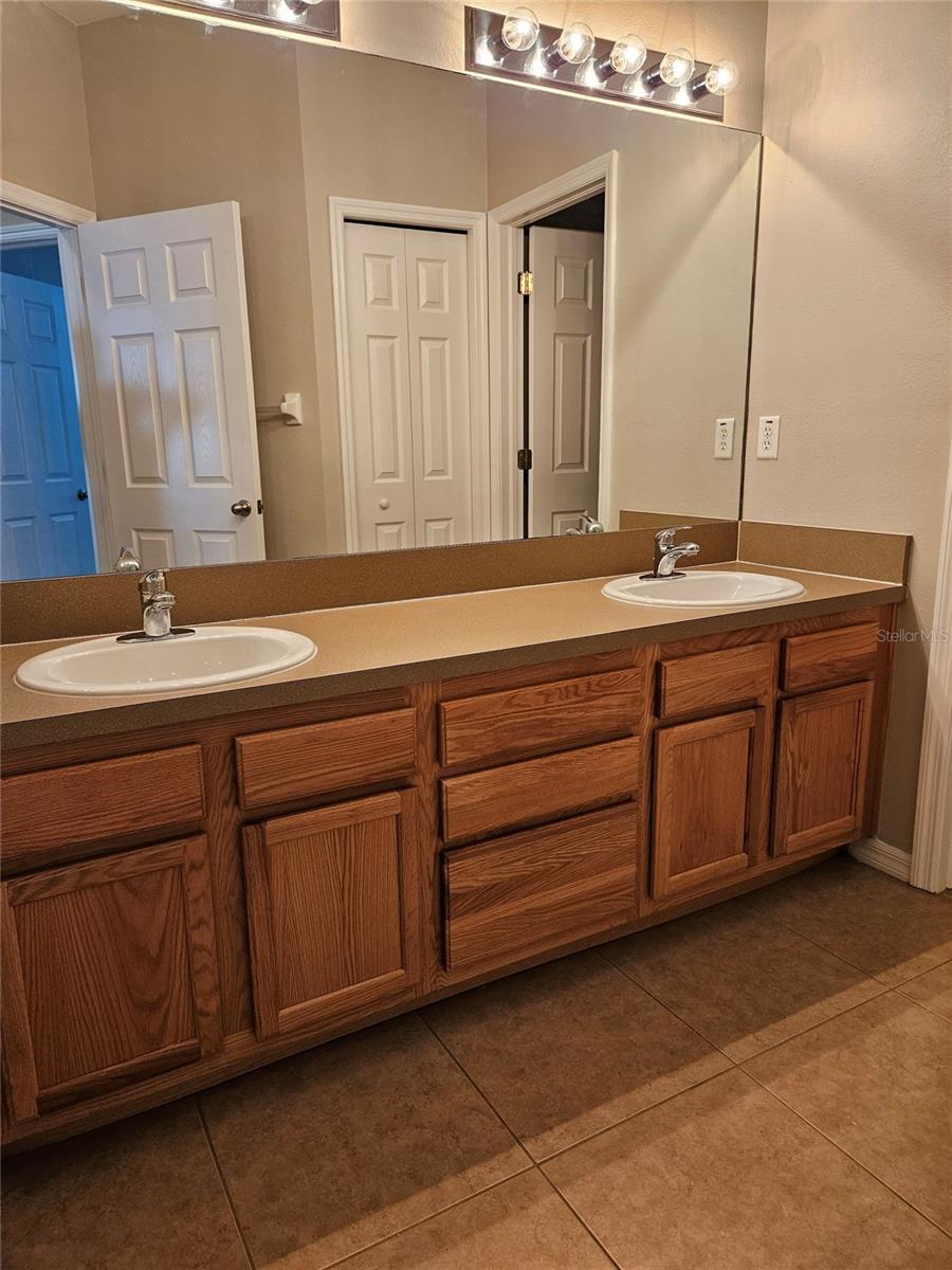 10313 STONE MOSS AVE, TAMPA, FL, 33647