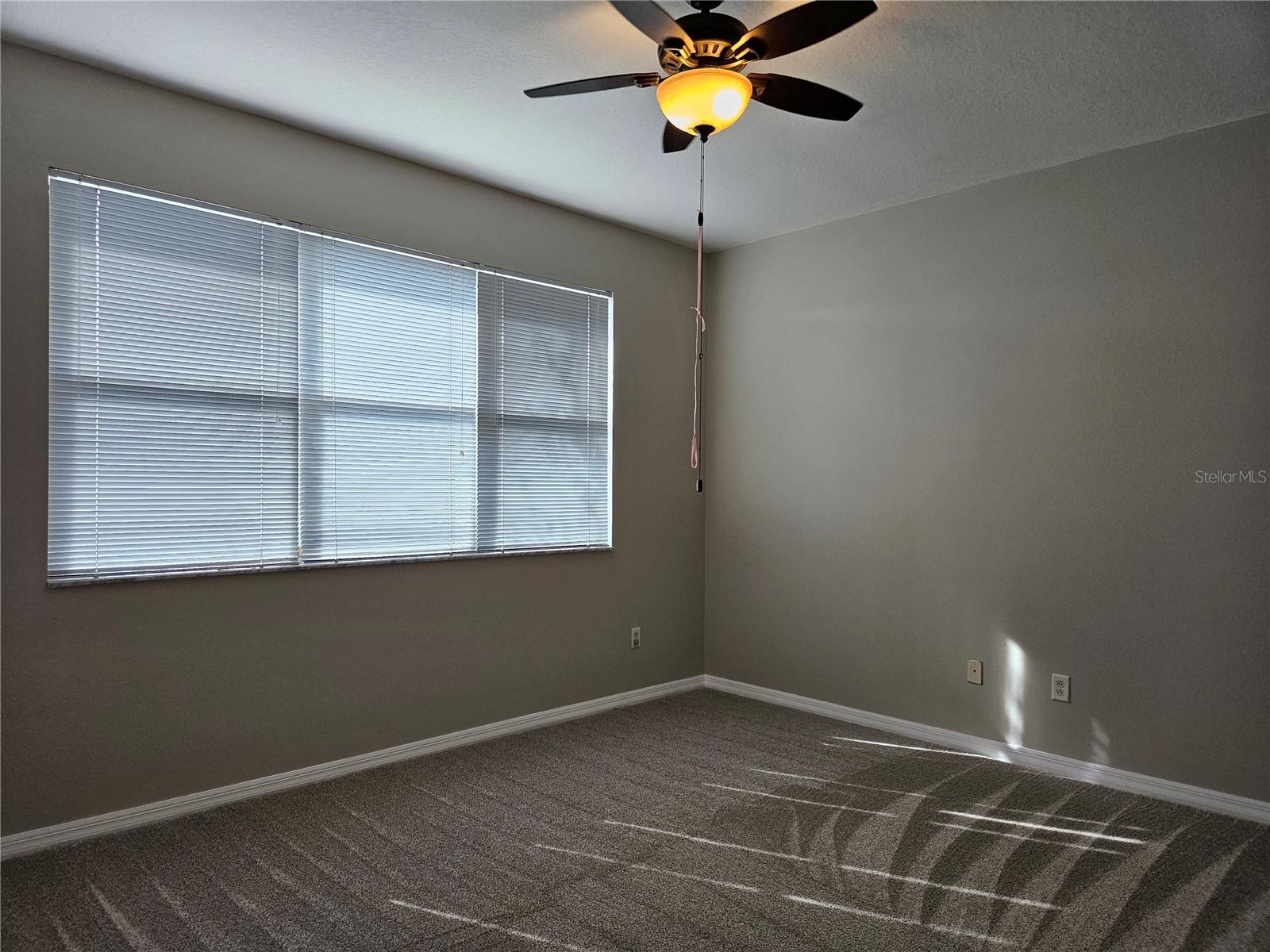 10313 STONE MOSS AVE, TAMPA, FL, 33647