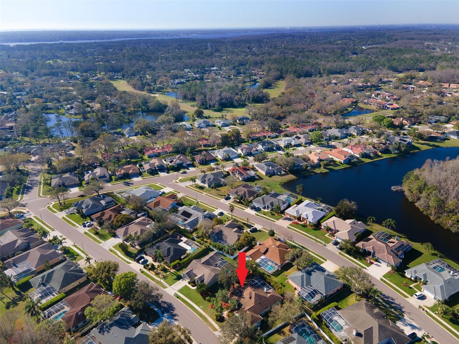 5501 STAG THICKET LN, PALM HARBOR, FL, 34685