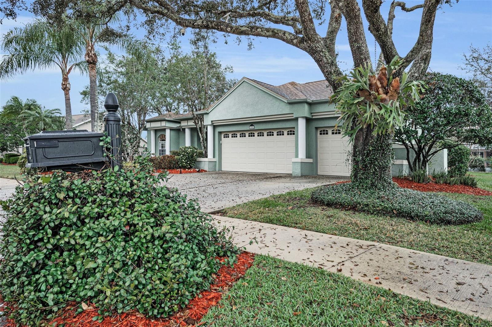 5501 STAG THICKET LN, PALM HARBOR, FL, 34685