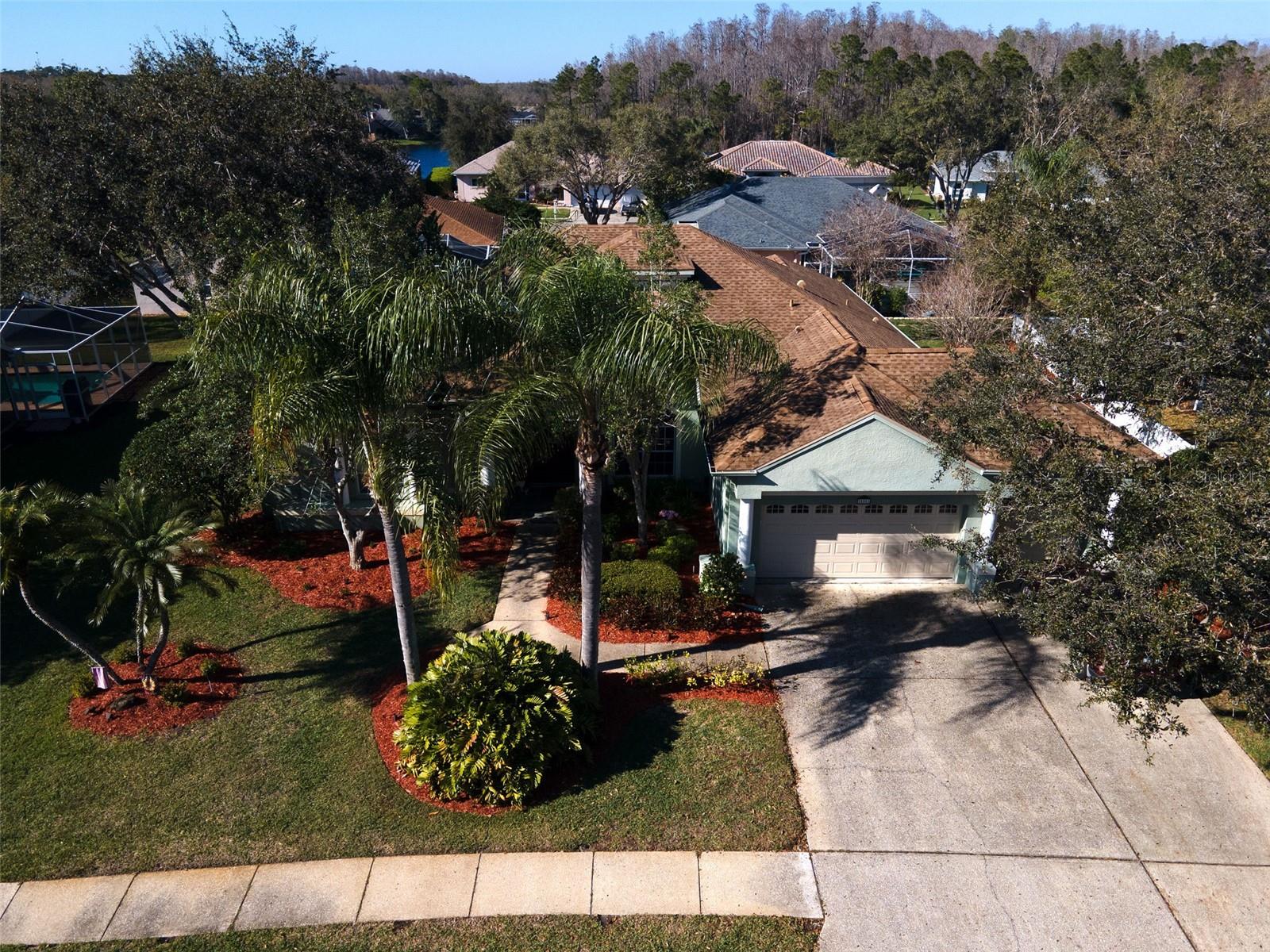 5501 STAG THICKET LN, PALM HARBOR, FL, 34685