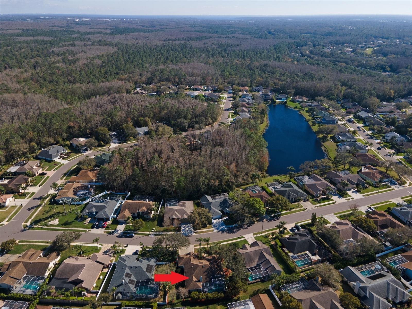 5501 STAG THICKET LN, PALM HARBOR, FL, 34685
