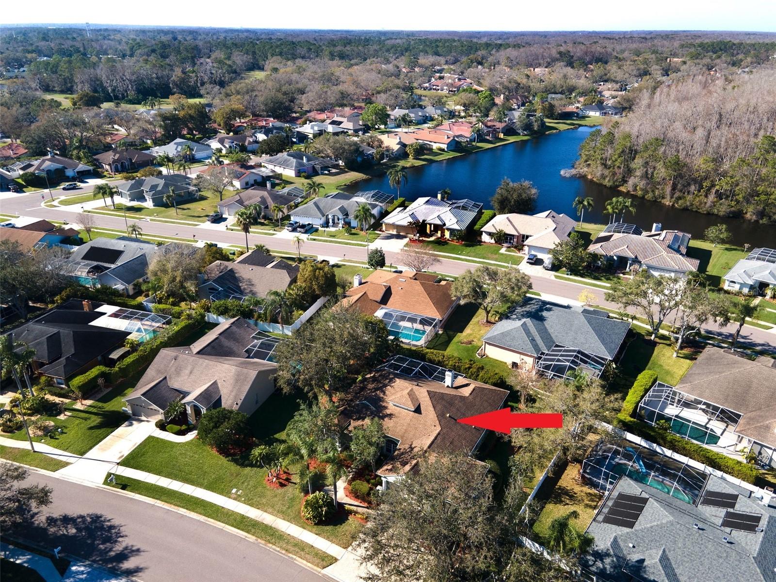 5501 STAG THICKET LN, PALM HARBOR, FL, 34685