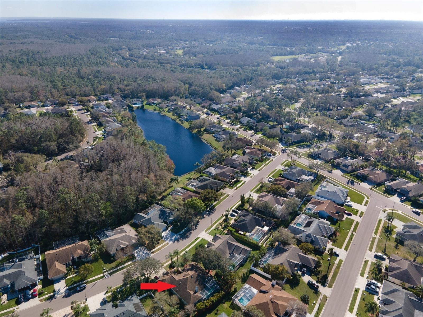 5501 STAG THICKET LN, PALM HARBOR, FL, 34685