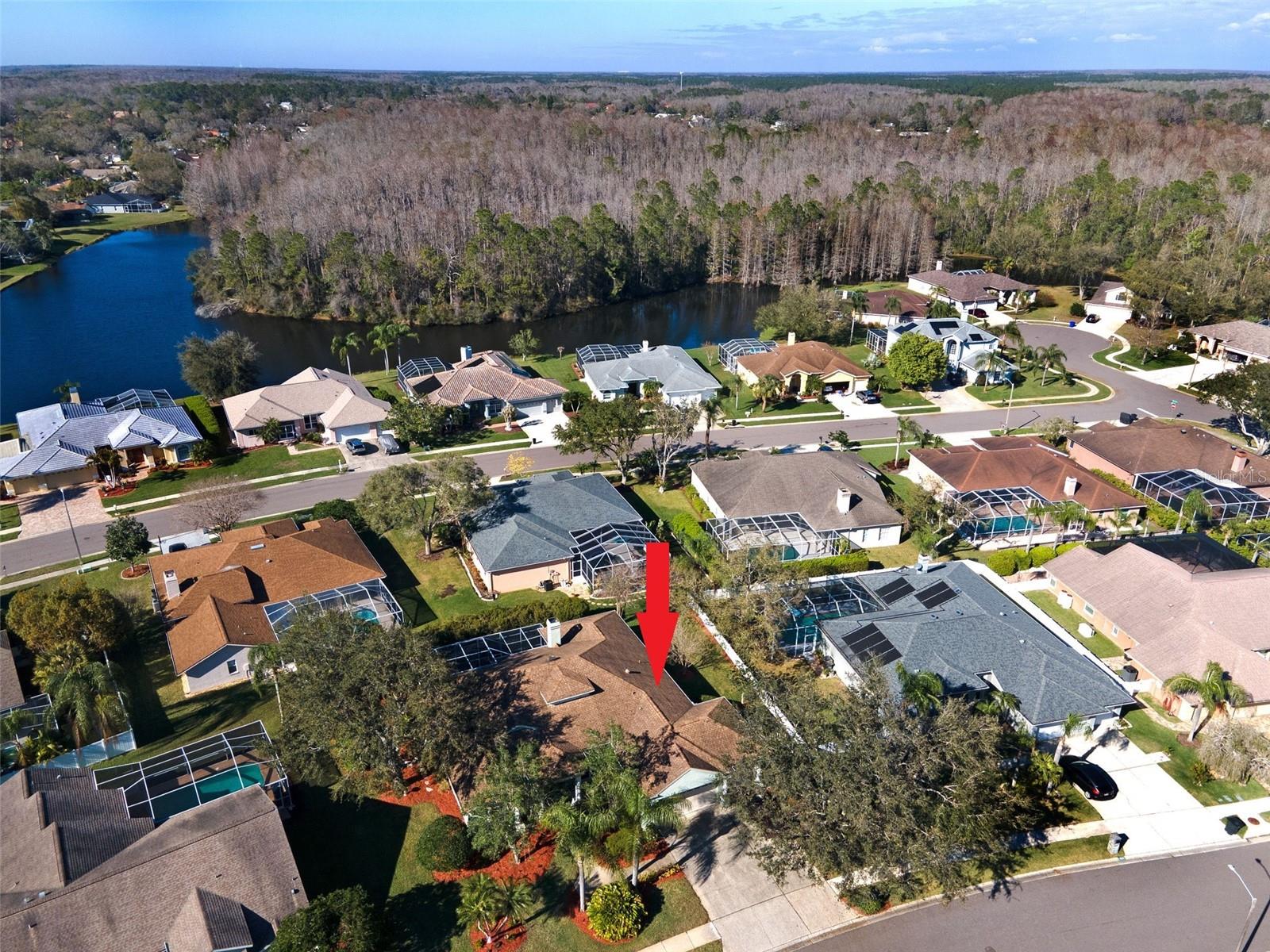 5501 STAG THICKET LN, PALM HARBOR, FL, 34685