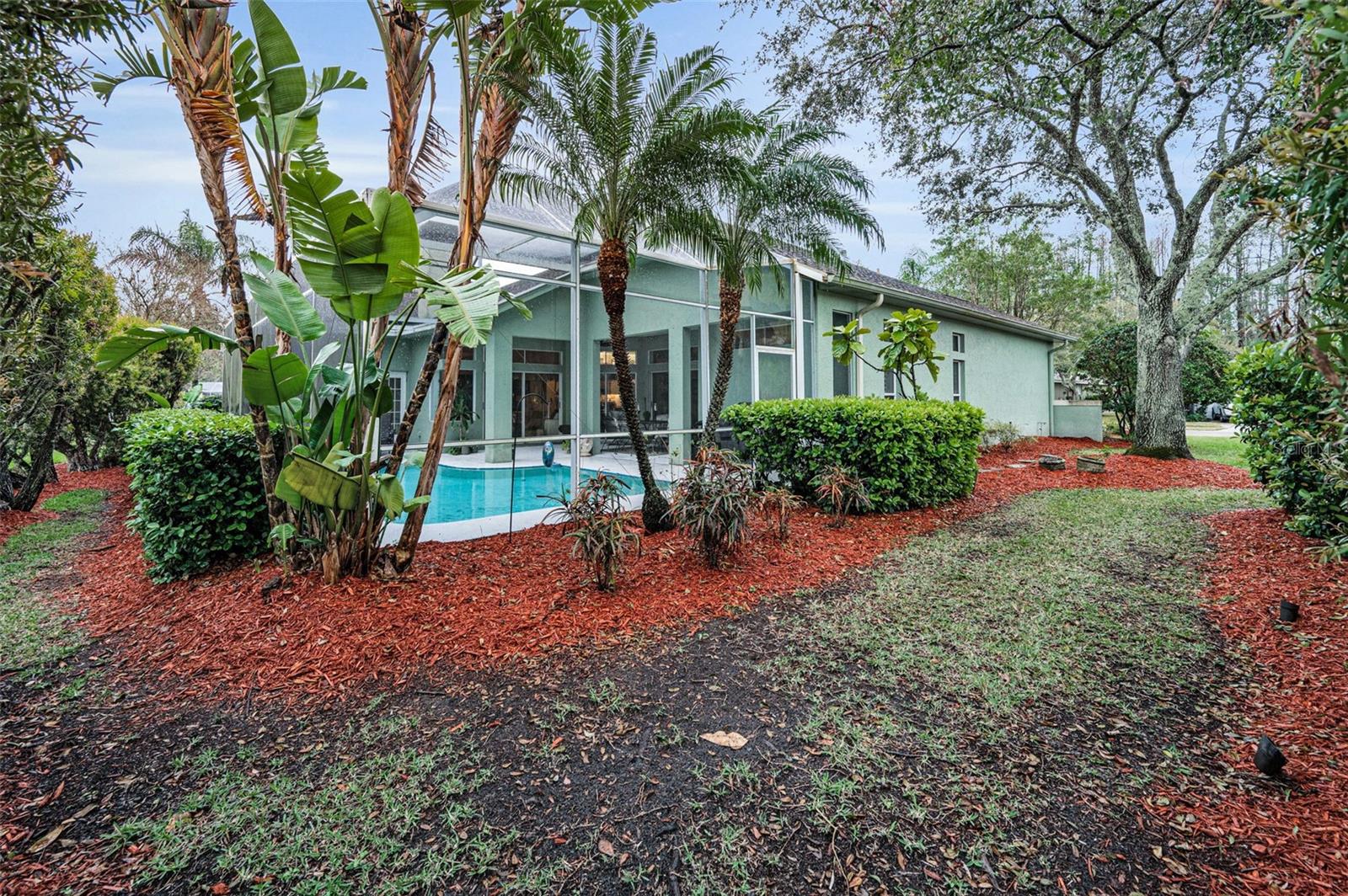 5501 STAG THICKET LN, PALM HARBOR, FL, 34685