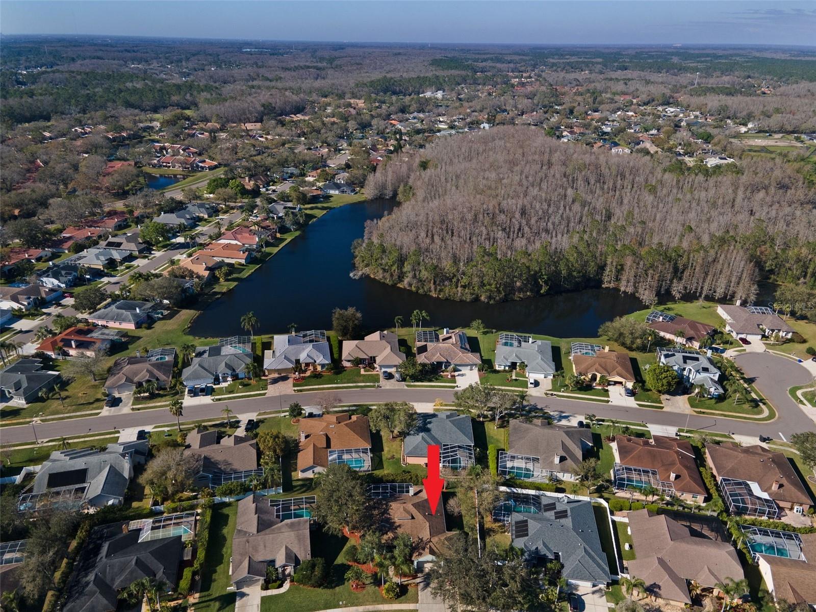 5501 STAG THICKET LN, PALM HARBOR, FL, 34685